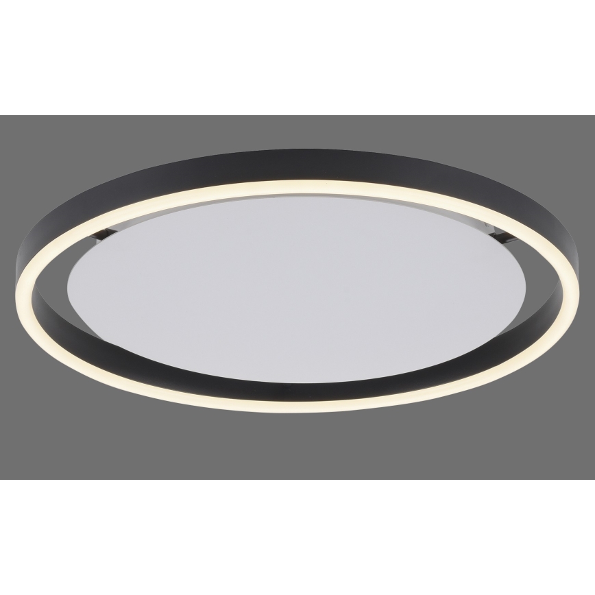 Leuchten Direkt 15391-13 - Lámpara de techo LED regulable RITUS LED/20W/230V negro