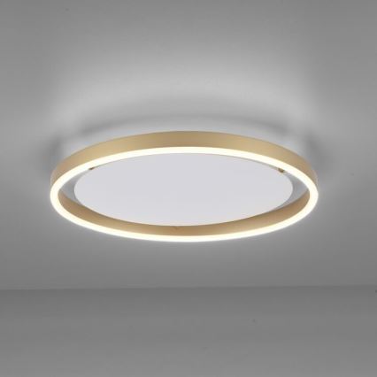 Leuchten Direkt 15391-60 - Plafón LED regulable RITUS LED/20W/230V latón