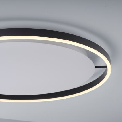 Leuchten Direkt 15392-13 - Plafón LED regulable RITUS LED/30W/230V negro