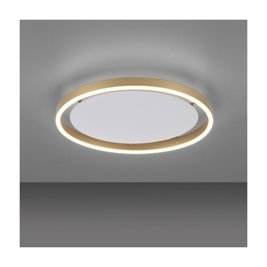 Leuchten Direkt 15392-60 - Plafón LED regulable RITUS LED/30W/230V latón