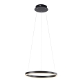 Leuchten Direkt 15393-13 - Lámpara colgante LED regulable con cable RITUS LED/20W/230V negro