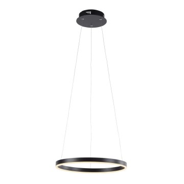 Leuchten Direkt 15393-13 - Lámpara colgante LED regulable con cable RITUS LED/20W/230V negro