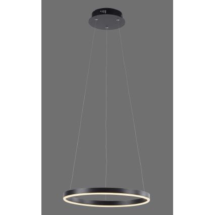 Leuchten Direkt 15393-13 - Lámpara colgante LED regulable con cable RITUS LED/20W/230V negro