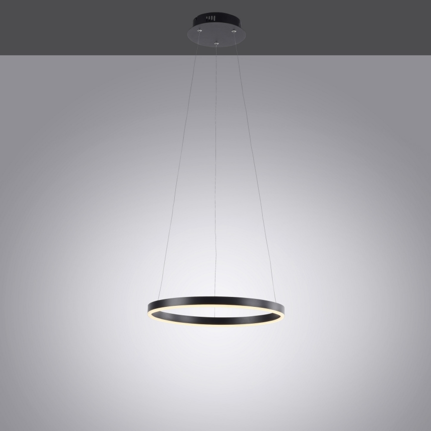 Leuchten Direkt 15393-13 - Lámpara colgante LED regulable con cable RITUS LED/20W/230V negro