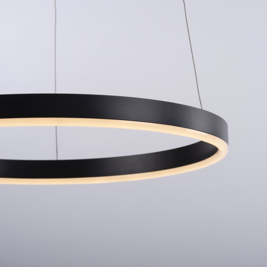 Leuchten Direkt 15393-13 - Lámpara colgante LED regulable con cable RITUS LED/20W/230V negro