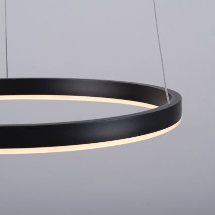 Leuchten Direkt 15393-13 - Lámpara colgante LED regulable con cable RITUS LED/20W/230V negro