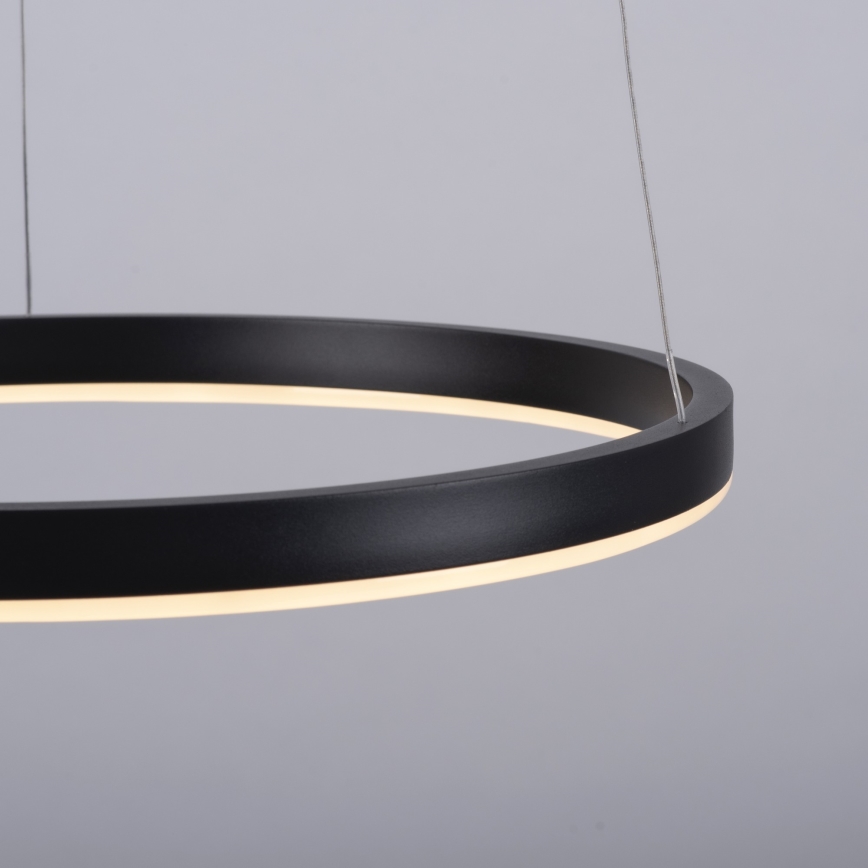 Leuchten Direkt 15393-13 - Lámpara colgante LED regulable con cable RITUS LED/20W/230V negro