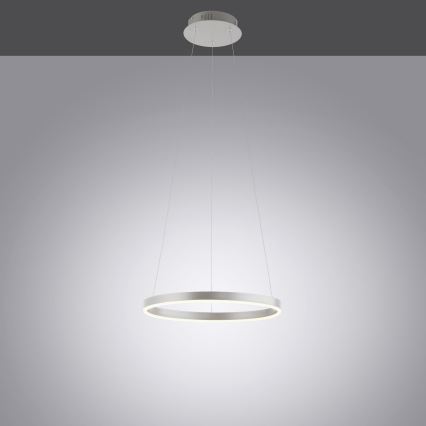 Leuchten Direkt 15393-95 - Lámpara de araña LED regulable RITUS LED/20W/230V cromo mate