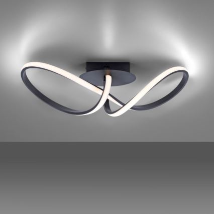 Leuchten Direkt 15403-18 - Lámpara de superficie LED regulable MARIA LED/16W/230V negro
