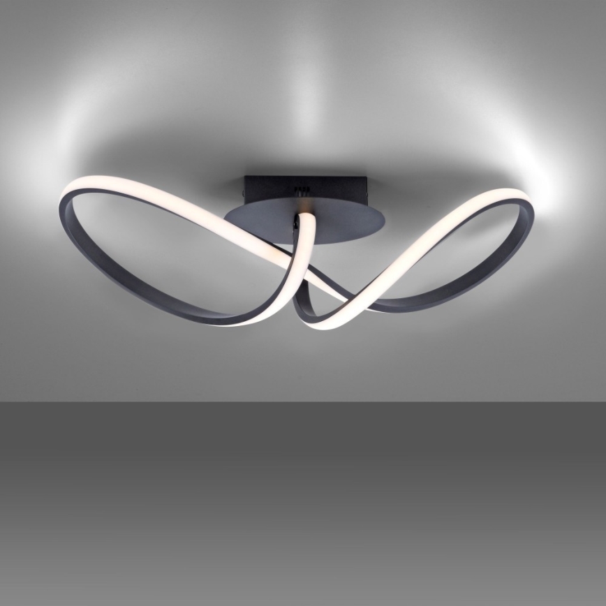 Leuchten Direkt 15403-18 - Lámpara de superficie LED regulable MARIA LED/16W/230V negro