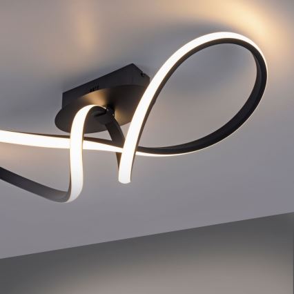 Leuchten Direkt 15403-18 - Lámpara de superficie LED regulable MARIA LED/16W/230V negro