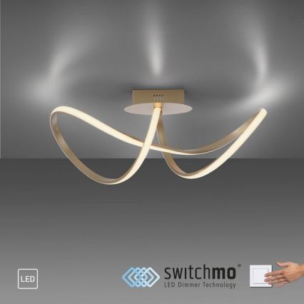 Leuchten Direkt 15403-60 - Lámpara de techo LED regulable MARIA LED/15,5W/230V