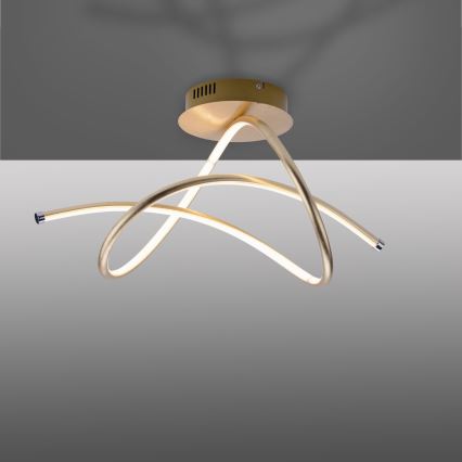 Leuchten Direkt 15441-12 - Lámpara de techo LED VIOLETTA LED/26W/230V
