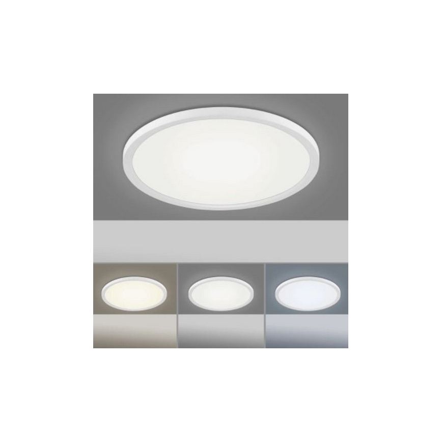 Leuchten Direkt 15571-16 - Plafón LED regulable FLAT LED/23,5W/230V 2700-5000K + mando a distancia