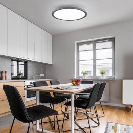 Leuchten Direkt 15571-18 - Plafón LED regulable FLAT LED/23,5W/230V 2700-5000K + mando a distancia