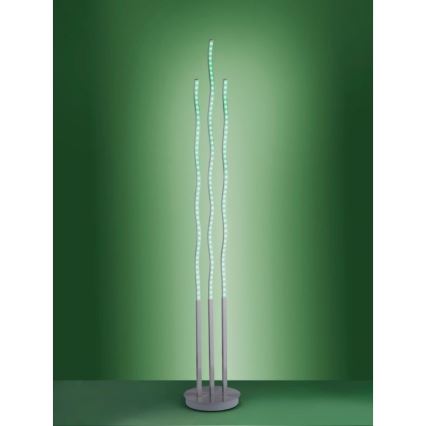 Leuchten Direkt 16268-55 - Lámpara de pie LED RGB regulable WAVE LED/31W/230V + control remoto