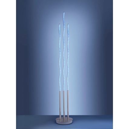 Leuchten Direkt 16268-55 - Lámpara de pie LED RGB regulable WAVE LED/31W/230V + control remoto