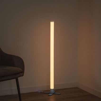 Leuchten Direkt 19902-21 - Lámpara LED RGB regulable RINGO LED/10W/230V + mando a distancia