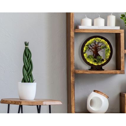 Li-Go 23604/DUB2 - Lámpara de mesa decorativa LED regulable LED/12W/230V 20x22 cm roble/musgo y árbol