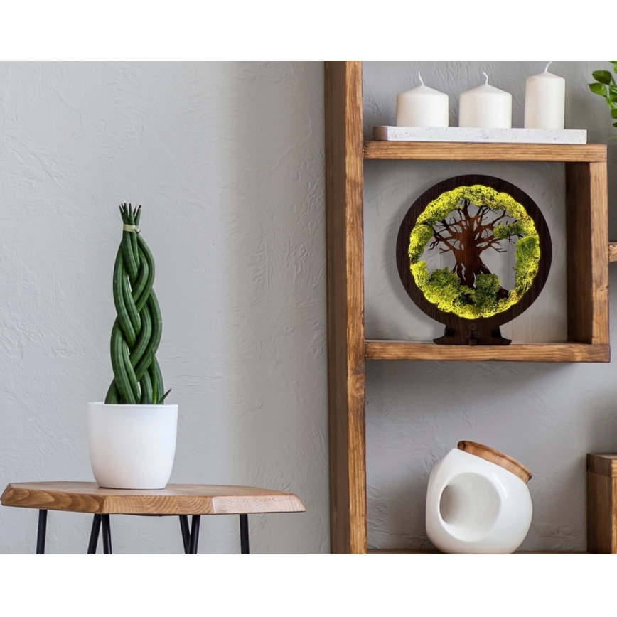 Li-Go 23604/DUB2 - Lámpara de mesa decorativa LED regulable LED/12W/230V 20x22 cm roble/musgo y árbol