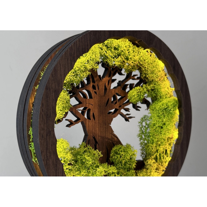 Li-Go 23604/DUB2 - Lámpara de mesa decorativa LED regulable LED/12W/230V 20x22 cm roble/musgo y árbol