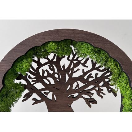 Li-Go 23604/DUB2 - Lámpara de mesa decorativa LED regulable LED/12W/230V 20x22 cm roble/musgo y árbol
