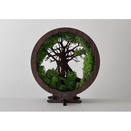 Li-Go 23604/DUB2 - Decoración de sobremesa LED regulable LED/12W/230V 20x22 cm roble/musgo y árbol