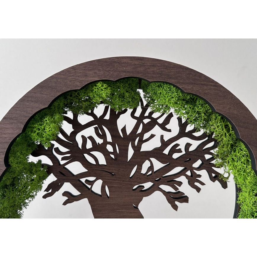Li-Go 23631/DUB2 - Lámpara decorativa de sobremesa LED regulable LED/12W/230V 30x31 cm roble/musgo y árbol
