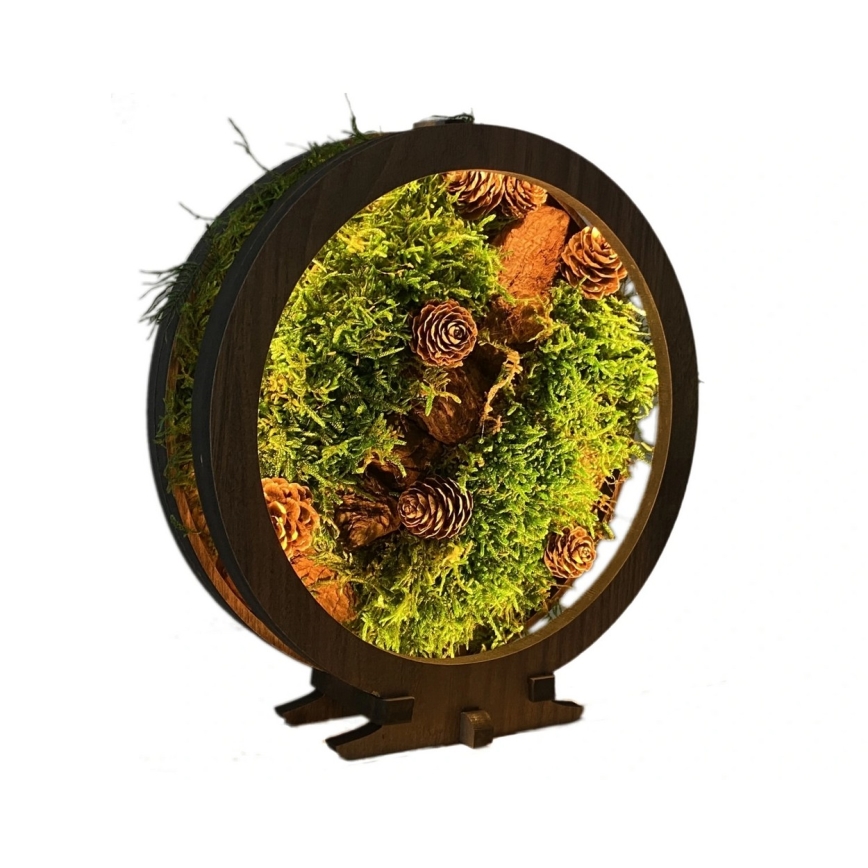 Li-Go 23654 - Lámpara decorativa de sobremesa LED regulable LED/12W/230V 20x22 cm nogal/motivo musgo