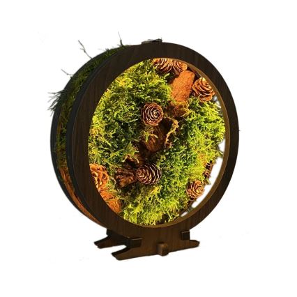 Li-Go 23654 - Decoración de sobremesa LED regulable LED/12W/230V 20x22 cm nogal/Composición de musgo