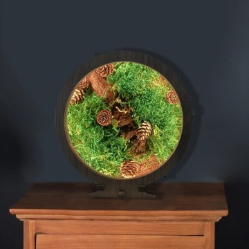 Li-Go 23654 - Decoración de sobremesa LED regulable LED/12W/230V 20x22 cm nogal/Composición de musgo