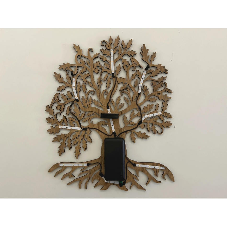 Li-Go 23673/DUB2 - Decoración de pared LED regulable LED/10W/5V 20000 mAh 45x55 cm roble + mando a distancia