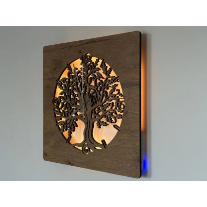 Li-Go 5652/DUB2 - Reloj de pared LED regulable LED/10W/5V 20000 mAh 42x42 cm roble/roble circular + mando a distancia