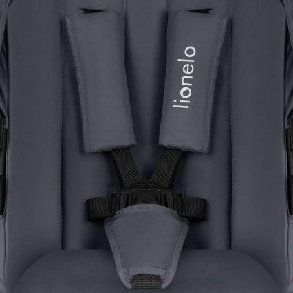 Lionelo - Cochecito combinado 2 en 1 AMBER PLUS Gris grafito