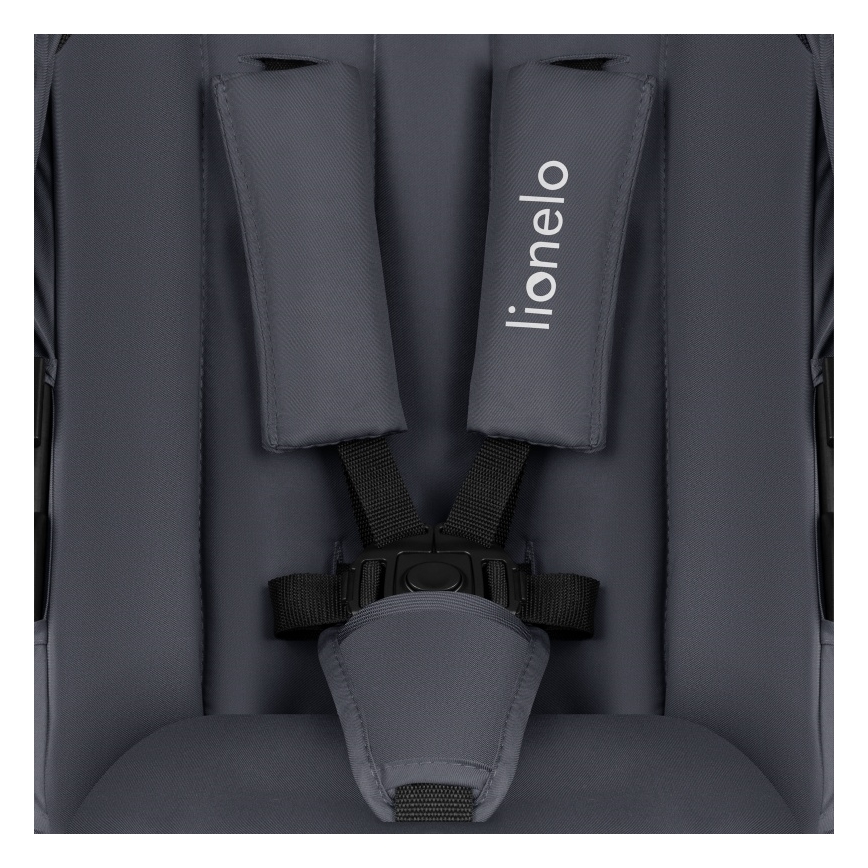 Lionelo - Cochecito combinado 2 en 1 AMBER PLUS Gris grafito