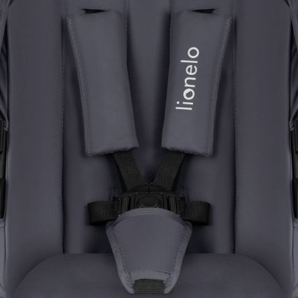 Lionelo - Cochecito combinado 3 en 1 AMBER PLUS gris grafito