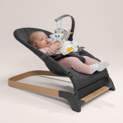 Lionelo - Columpio para bebés JUNE antracita