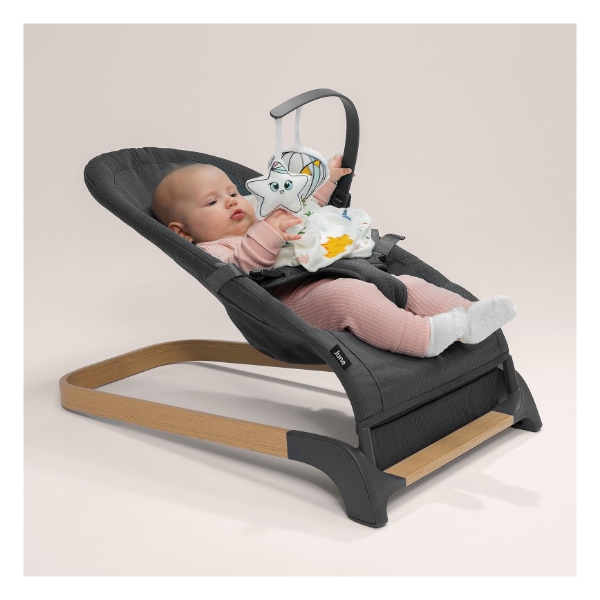 Lionelo - Columpio para bebés JUNE antracita