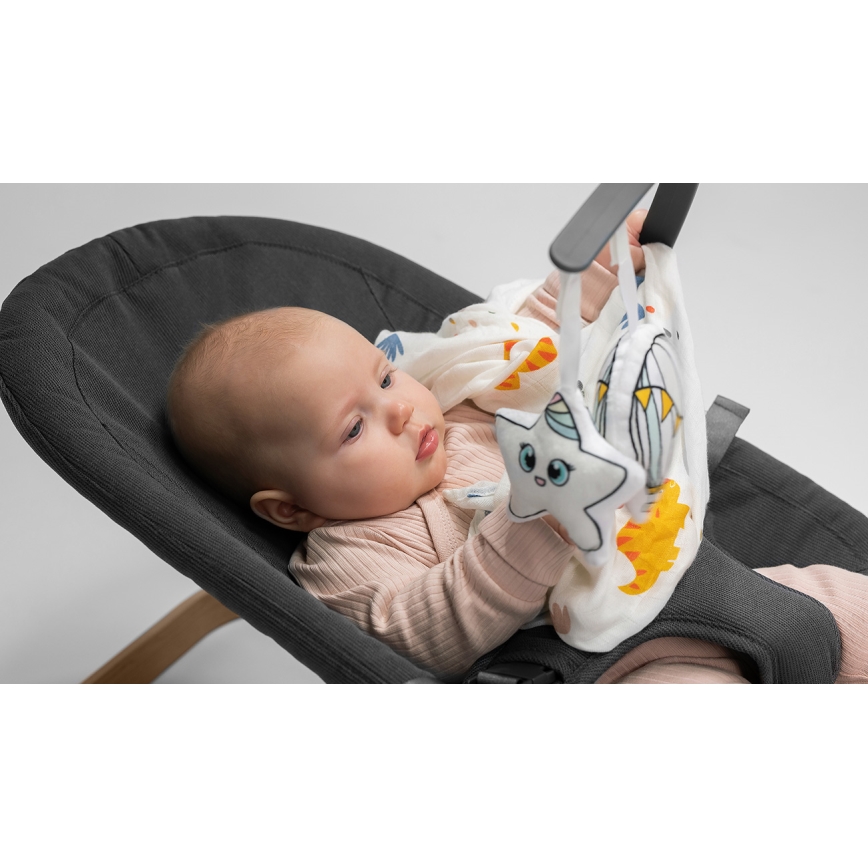 Lionelo - Columpio para bebés JUNE antracita