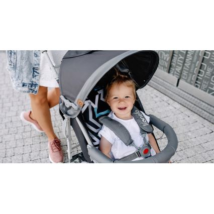 Lionelo - Silla de paseo ELIA gris