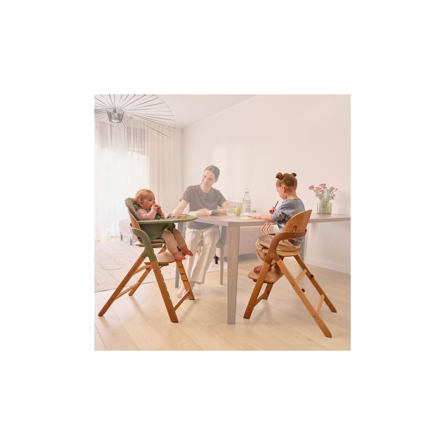 Lionelo - Trona infantil 3 en 1 MEGAN Green Wood