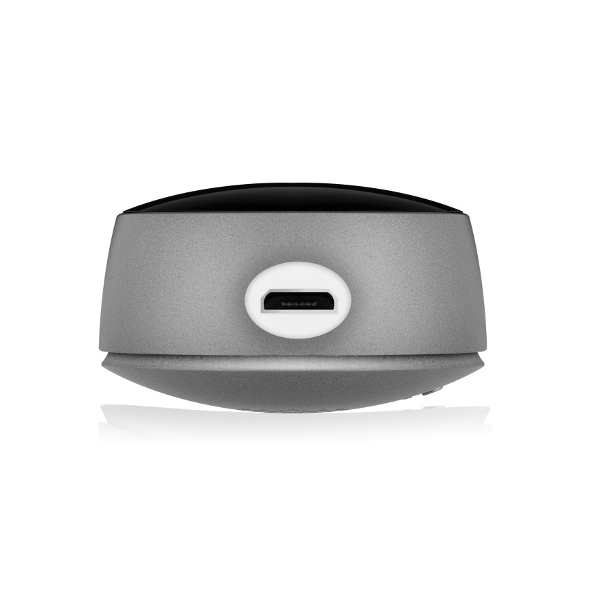 Lionelo - Vigilabebés inteligente BABYLINE SMART con Wi‑Fi, negro