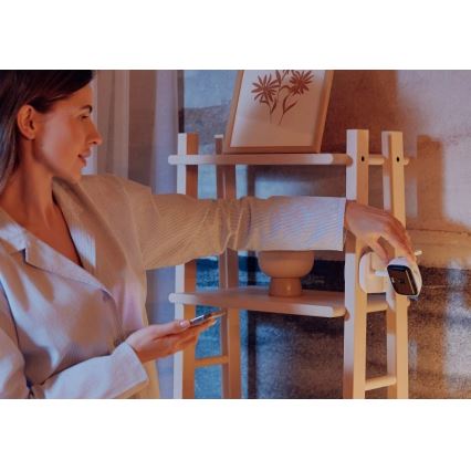 Lionelo - Vigilabebés recargable BABYLINE GO 5 V 3350 mAh