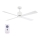 Lucci Air 210521 - Ventilador de techo AIRFUSION CLIMATE madera/blanco + control remoto