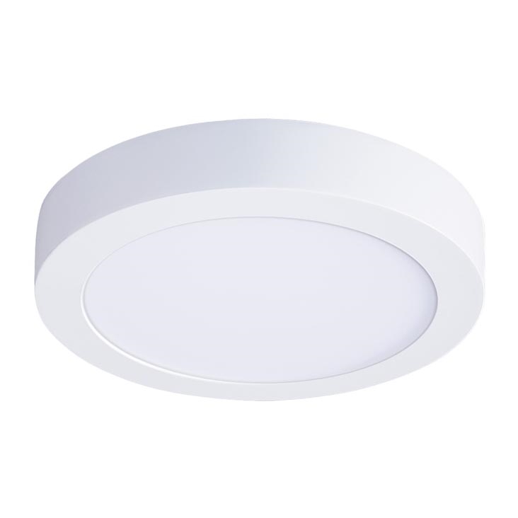 Luminaria de techo LED/24W/230V 3000/4000/6000K Ø 30 cm blanca