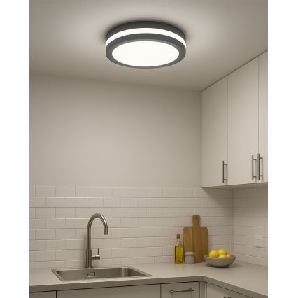 Plafón LED de baño con sensor de movimiento / 20 W / 230 V / 3000/4000/6500 K / diámetro 23 cm / IP54 / antracita