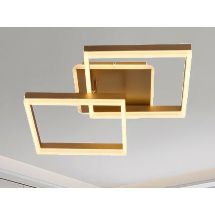 Luminaria de techo LED regulable LED/80W/230V 3000-6500K + mando a distancia