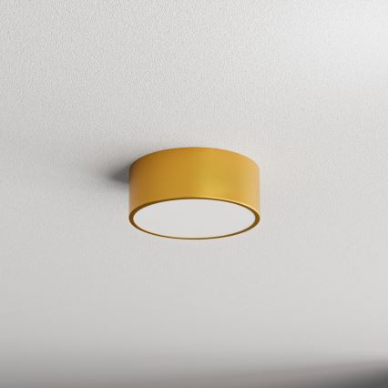 Luminaria de techo para baño CLEO con sensor, 1xE27/24W/230V, Ø 20 cm, IP54, acabado dorado