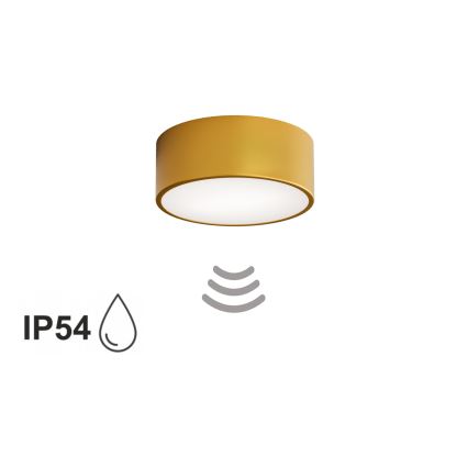 Luminaria de techo para baño CLEO con sensor, 1xE27/24W/230V, Ø 20 cm, IP54, acabado dorado