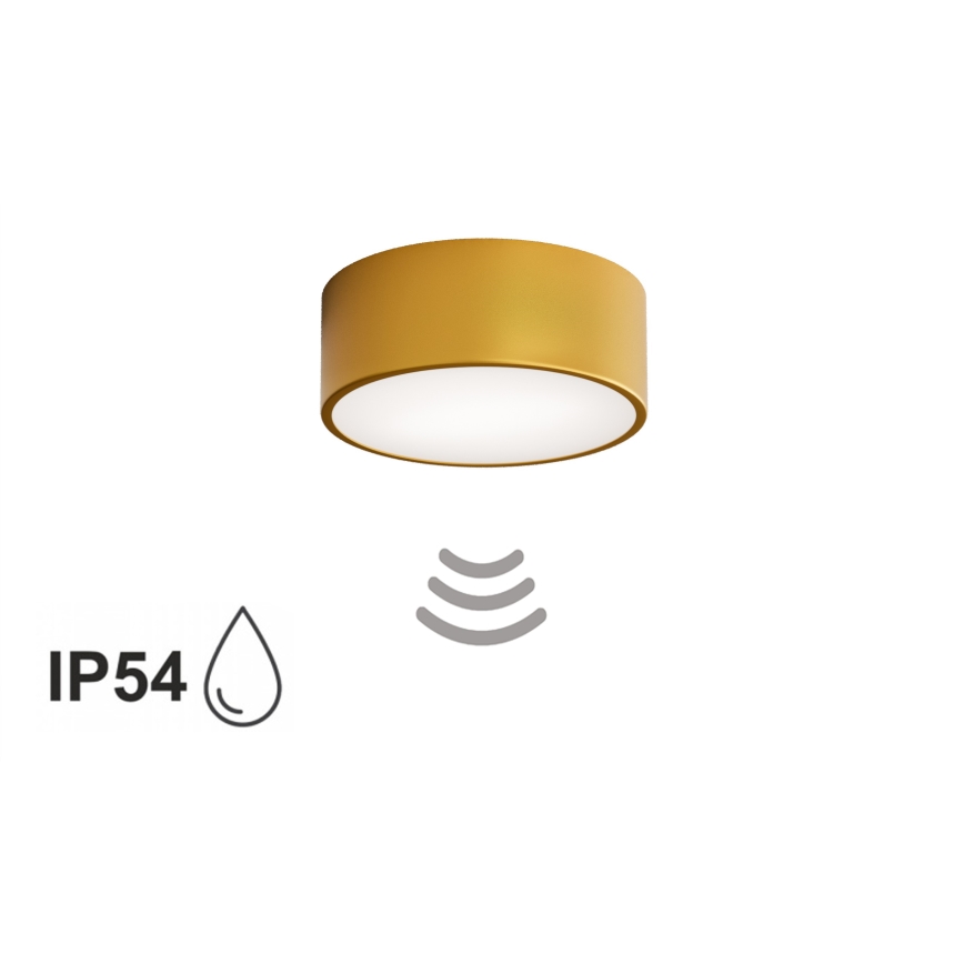 Luminaria de techo para baño CLEO con sensor, 1xE27/24W/230V, Ø 20 cm, IP54, acabado dorado